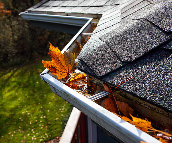 Sherriff Goslin Roofing Gutter Maintenance Services 